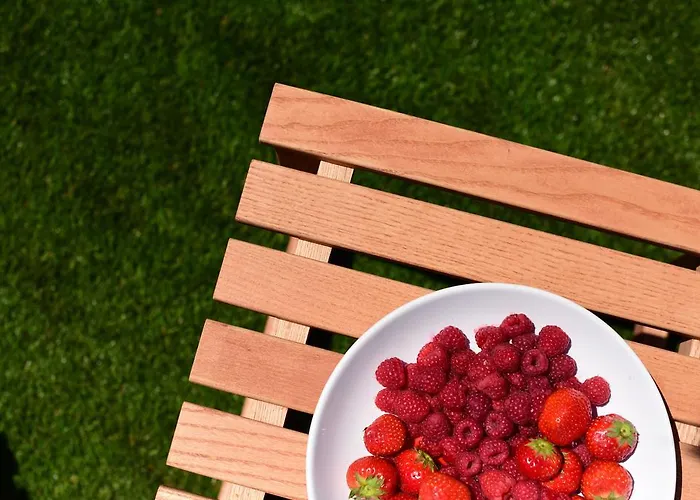 Orange With Heated Pool And Parking Holiday home *